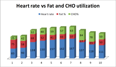 Article. Are You a Sugar or Fat Burner?