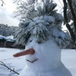 A Snowman in Winter