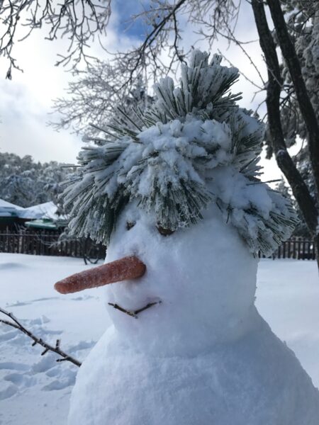A Snowman in Winter