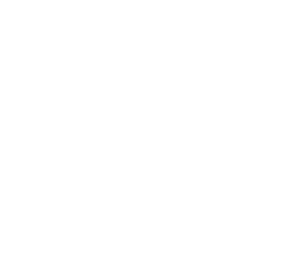 Race Smart Logo. Sports Nutrition & Triathlon Coaching